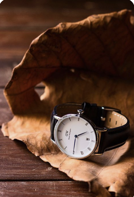 Watch on Autumn Leaf Product Photography Prompt